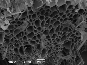 microscop