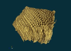 wood-nano-ct-crop2